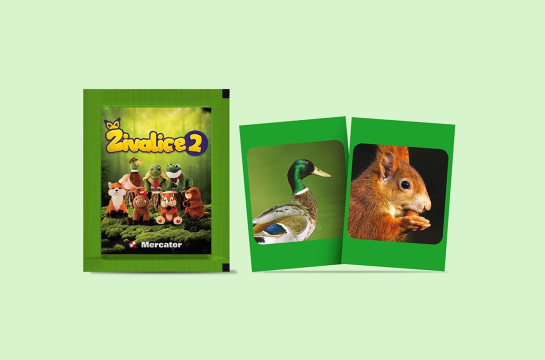 Obrazovni programi vjernosti